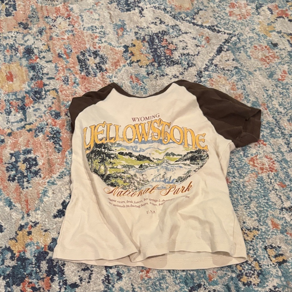 Urban Outfitters Cream and Brown Crop Top
